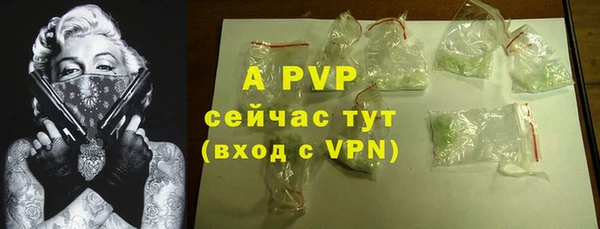 стаф Беломорск