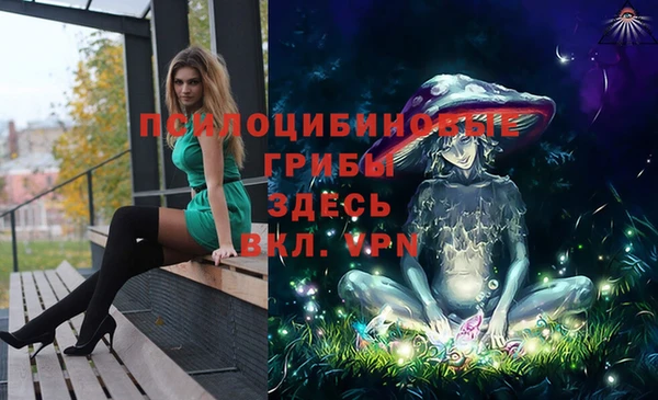 ECSTASY Богданович