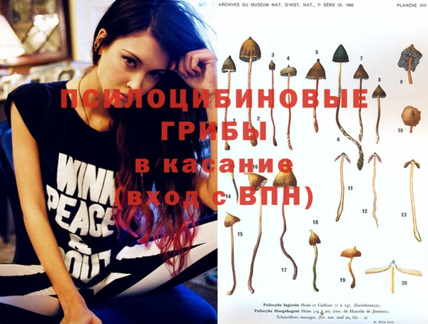 прущий лед Белокуриха