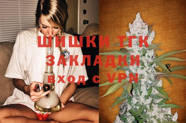 ECSTASY Богданович