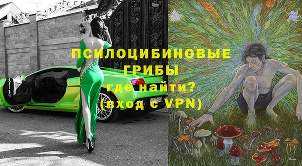 ешки Бронницы