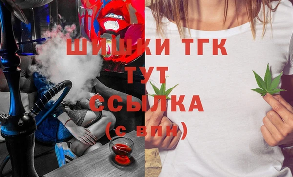 ECSTASY Богородицк