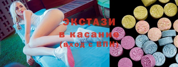 ECSTASY Богданович